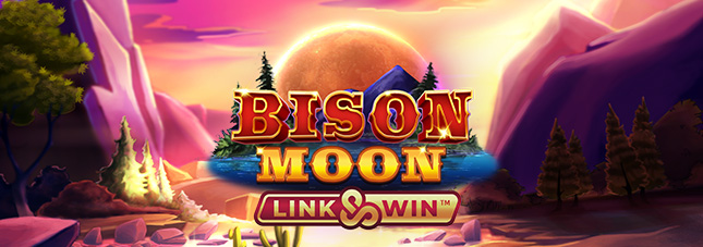 Bison Moon Bison Moon