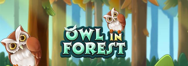 Owl in Forest
