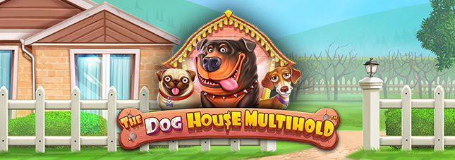 The Dog House Multihold The Dog House Multihold