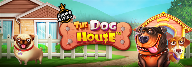The Dog House The Dog House