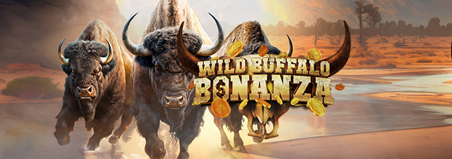 Wild Buffalo Bonanza
