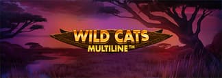 Wild Cats MultiLine
